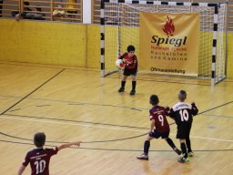 mini-IMG_5532
